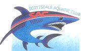 Official SACistan Logo